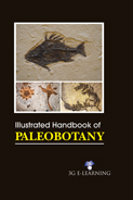 Illustrated Handbook of Paleobotany