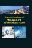 Illustrated Handbook of Management Information System