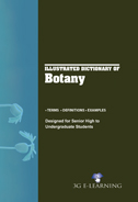 Illustrated Dictionary of Botany