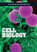 3GE Collection on Biology: Cell Biology