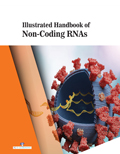 Illustrated Handbook Of Non-Coding Rnas