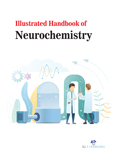 Illustrated Handbook Of Neurochemistry