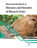 Illustrated Handbook Of Diseases And Parasites Of Sheep & Goats