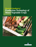 Illustrated Handbook Of Production Technology Of Minor Vegetable Crops