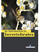 An Introduction to Invertebrates   