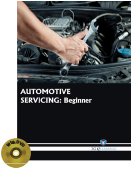 AUTOMOTIVE SERVICING: Beginner (Book with DVD)  (Workbook Included)
