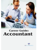 Career Guide: Accountant 