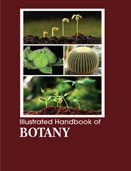 ILLUSTRATED HANDBOOK OFBotany