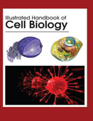 ILLUSTRATED HANDBOOK OFCell Biology