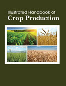 ILLUSTRATED HANDBOOK OFCrop Production