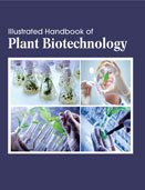 ILLUSTRATED HANDBOOK OFPlant Biotechnology