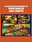 ILLUSTRATED HANDBOOK OFVegetables and Fruits